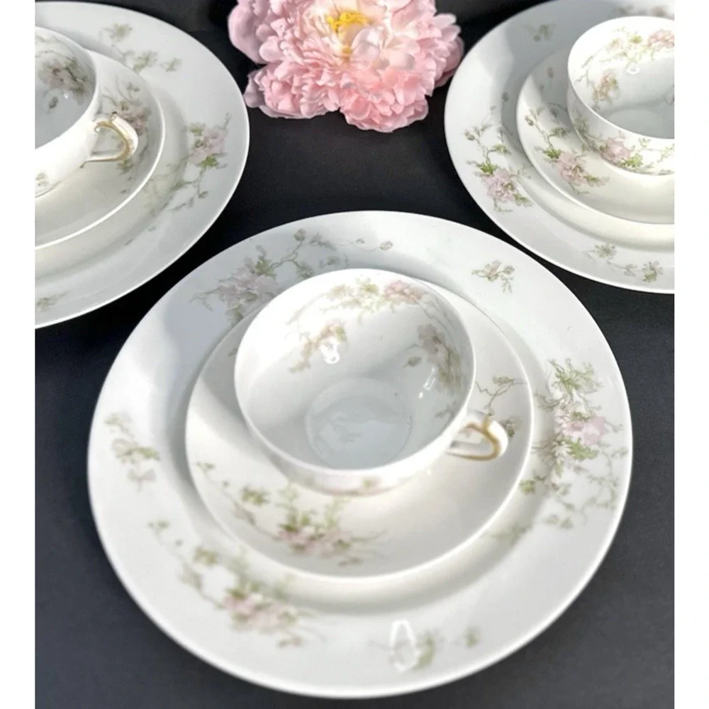 Charles Field Haviland Limoges France Pink Poppies Schleiger 377 Teacup & Saucer